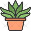 پیش‌نمایش فایل gasteria-plant-5411659 از پک گیاهان و گل‌ها
