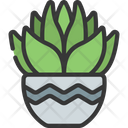 پیش‌نمایش فایل gasteria-pot-5411660 از پک گیاهان و گل‌ها
