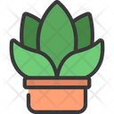 پیش‌نمایش فایل gasteria-pot-5411661 از پک گیاهان و گل‌ها