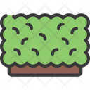 پیش‌نمایش فایل hedge-plant-5411670 از پک گیاهان و گل‌ها