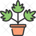 پیش‌نمایش فایل leaf-plant-5411672 از پک گیاهان و گل‌ها