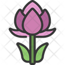 پیش‌نمایش فایل lotus-plant-5411674 از پک گیاهان و گل‌ها