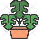 پیش‌نمایش فایل monstera-plant-5411677 از پک گیاهان و گل‌ها