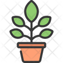 پیش‌نمایش فایل orchid-plant-5411681 از پک گیاهان و گل‌ها