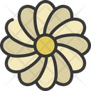 پیش‌نمایش فایل overlapping-flower-5411683 از پک گیاهان و گل‌ها
