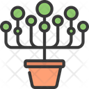 پیش‌نمایش فایل pearls-plant-5411685 از پک گیاهان و گل‌ها