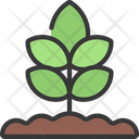پیش‌نمایش فایل plant-5411688 از پک گیاهان و گل‌ها