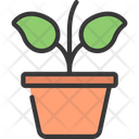 پیش‌نمایش فایل plant-pot-5411667 از پک گیاهان و گل‌ها