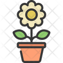 پیش‌نمایش فایل potted-plant-5411691 از پک گیاهان و گل‌ها