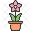 پیش‌نمایش فایل potted-plant-5411692 از پک گیاهان و گل‌ها