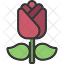 پیش‌نمایش فایل rose-plant-5411695 از پک گیاهان و گل‌ها