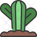 پیش‌نمایش فایل round-cactus-5411697 از پک گیاهان و گل‌ها