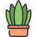 پیش‌نمایش فایل snake-plant-5411702 از پک گیاهان و گل‌ها