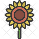 پیش‌نمایش فایل sunflower-5411705 از پک گیاهان و گل‌ها