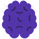 پیش‌نمایش فایل brain-5412101 از پک علم
