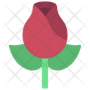 پیش‌نمایش فایل rose-flower-5418481 از پک عشق