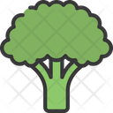 پیش‌نمایش فایل brocoli-5435176 از پک سوپرمارکت