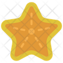 پیش‌نمایش فایل starfish-5430981 از پک سفر