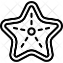 پیش‌نمایش فایل starfish-5431081 از پک سفر