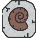 پیش‌نمایش فایل fossil-6296526 از پک تاریخ