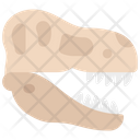 پیش‌نمایش فایل skull-6296372 از پک تاریخ