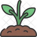 پیش‌نمایش فایل plant-growth-6295356 از پک توسعه پایدار