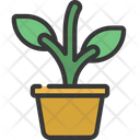 پیش‌نمایش فایل plant-pot-6295357 از پک توسعه پایدار