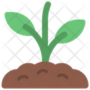 پیش‌نمایش فایل plant-pot-6295056 از پک توسعه پایدار