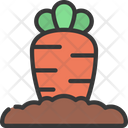 پیش‌نمایش فایل carrot-farm-6280723 از پک کشاورزی
