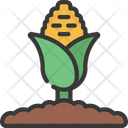 پیش‌نمایش فایل corn-plant-6280731 از پک کشاورزی