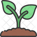 پیش‌نمایش فایل greenhouse-grass-6280752 از پک کشاورزی