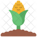 پیش‌نمایش فایل corn-plant-6280530 از پک کشاورزی