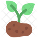 پیش‌نمایش فایل grow-potato-6280549 از پک کشاورزی