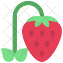 پیش‌نمایش فایل grow-strawberry-6280550 از پک کشاورزی