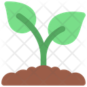 پیش‌نمایش فایل growing-plant-6280551 از پک کشاورزی