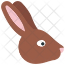 پیش‌نمایش فایل rabbit-face-6280584 از پک کشاورزی
