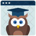 پیش‌نمایش فایل wise-owl-6296687 از پک آموزش آنلاین