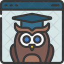پیش‌نمایش فایل wise-owl-6296887 از پک آموزش آنلاین