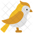 پیش‌نمایش فایل bird-6297193 از پک زمان بهاری