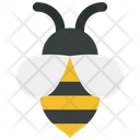 پیش‌نمایش فایل bumble-6297194 از پک زمان بهاری