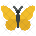 پیش‌نمایش فایل butterfly-6297196 از پک زمان بهاری