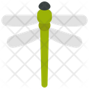 پیش‌نمایش فایل dragon-bug-6297200 از پک زمان بهاری