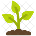 پیش‌نمایش فایل plant-growth-6297218 از پک زمان بهاری