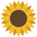 پیش‌نمایش فایل sunflower-6297230 از پک زمان بهاری