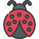 پیش‌نمایش فایل ladybug-6297314 از پک زمان بهاری