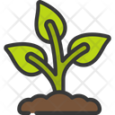 پیش‌نمایش فایل plant-growth-6297318 از پک زمان بهاری