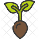 پیش‌نمایش فایل plant-seed-6297320 از پک زمان بهاری