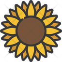 پیش‌نمایش فایل sunflower-6297330 از پک زمان بهاری