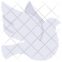 پیش‌نمایش فایل dove-6297373 از پک عروسی‌ها
