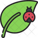 پیش‌نمایش فایل bug-6313531 از پک حیوانات و طبیعت